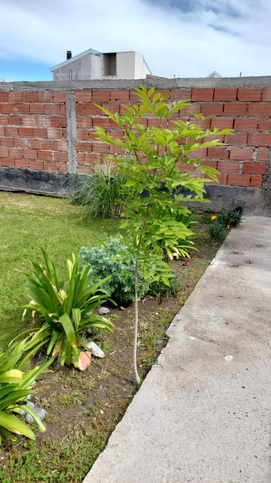 Habitacion Privada En La Casa De Thor Trelew Εξωτερικό φωτογραφία