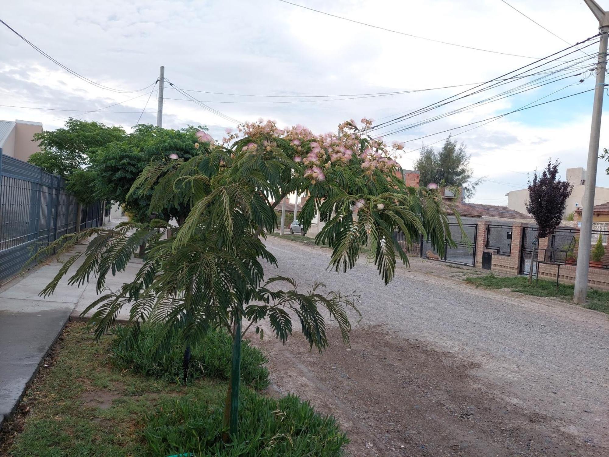Habitacion Privada En La Casa De Thor Trelew Εξωτερικό φωτογραφία